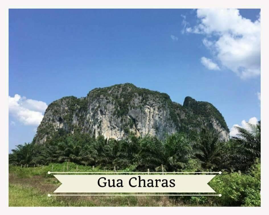 Casa Hill Resort Sungai Lembing Extérieur photo